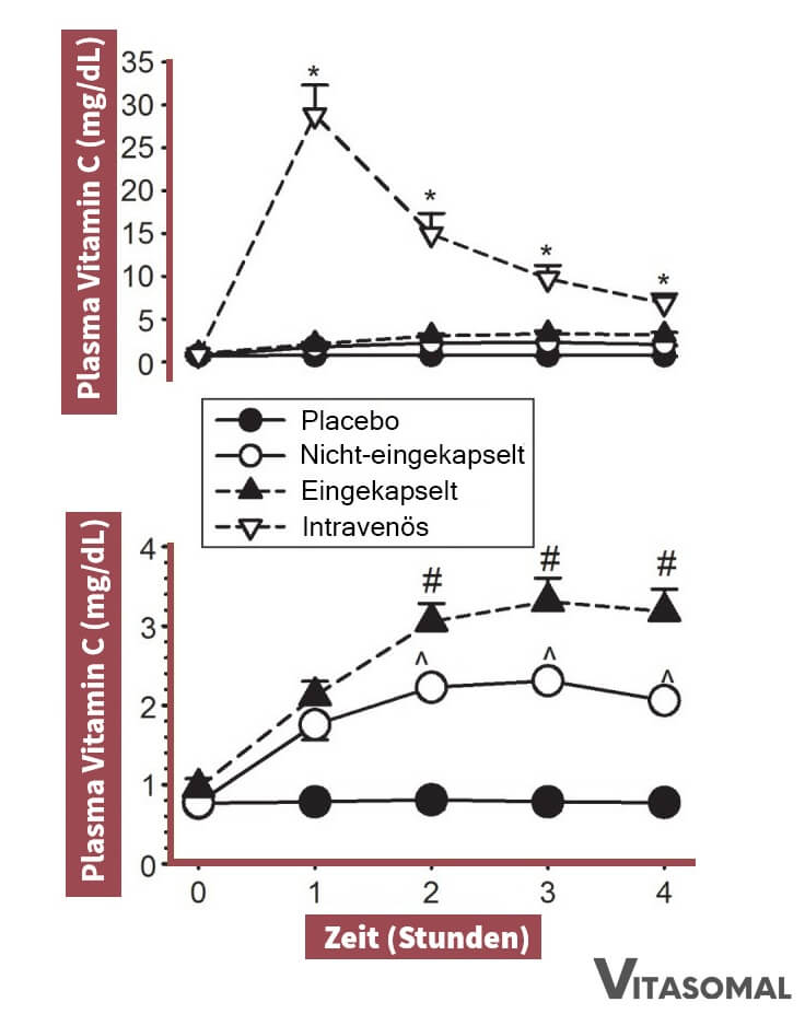 Vitamin C wirkungszeit