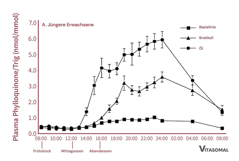 Die Ernährung mit dem Vitamin-K-reichen Lebensmittel Brokkoli führte unter jungen Erwachsenen zu einer besseren Aufnahme des Vitamins, wenn gleichzeitig auch Fett/Öl konsumiert wurde. 