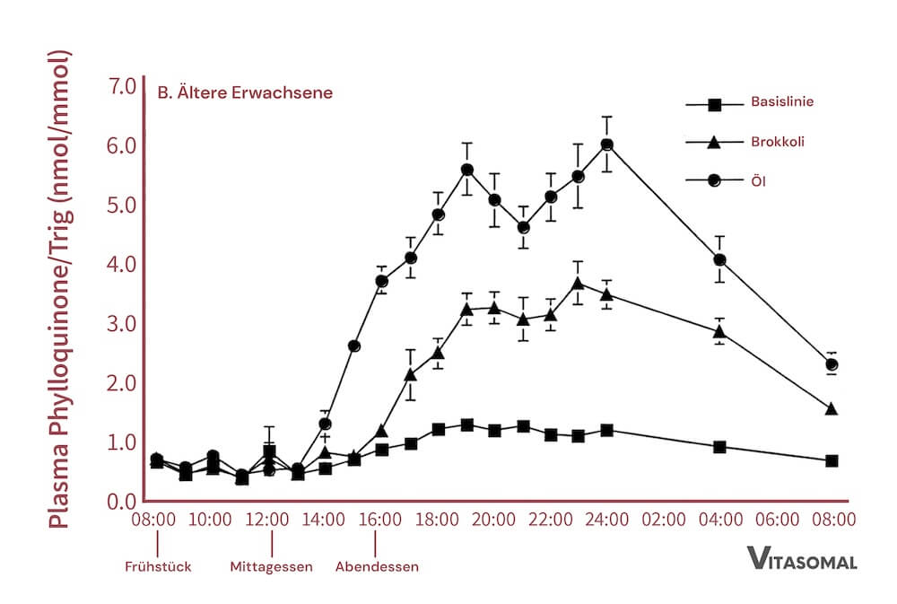 Auch ältere Versuchsteilnehmer konnten mehr Vitamin K aufnehmen, wenn Brokkoli mit Öl gemeinsam verzehrt wurde. 