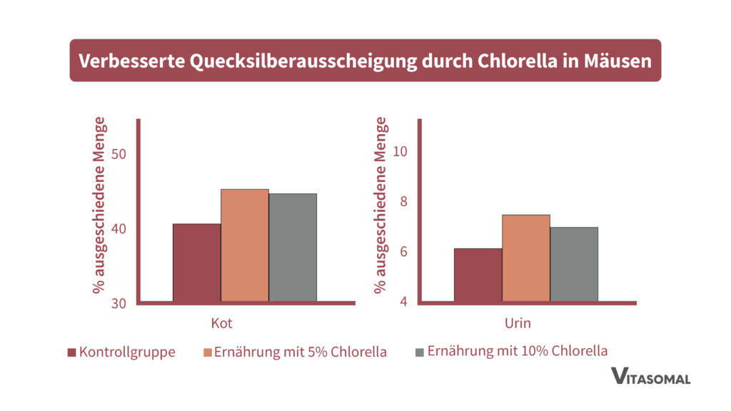 Quecksilberausscheidung durch Chlorella