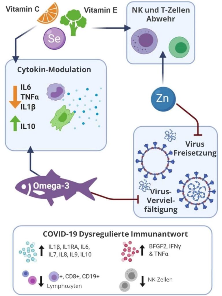 Immunsystem stärken