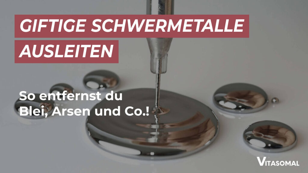 Schwermetalle ausleiten
