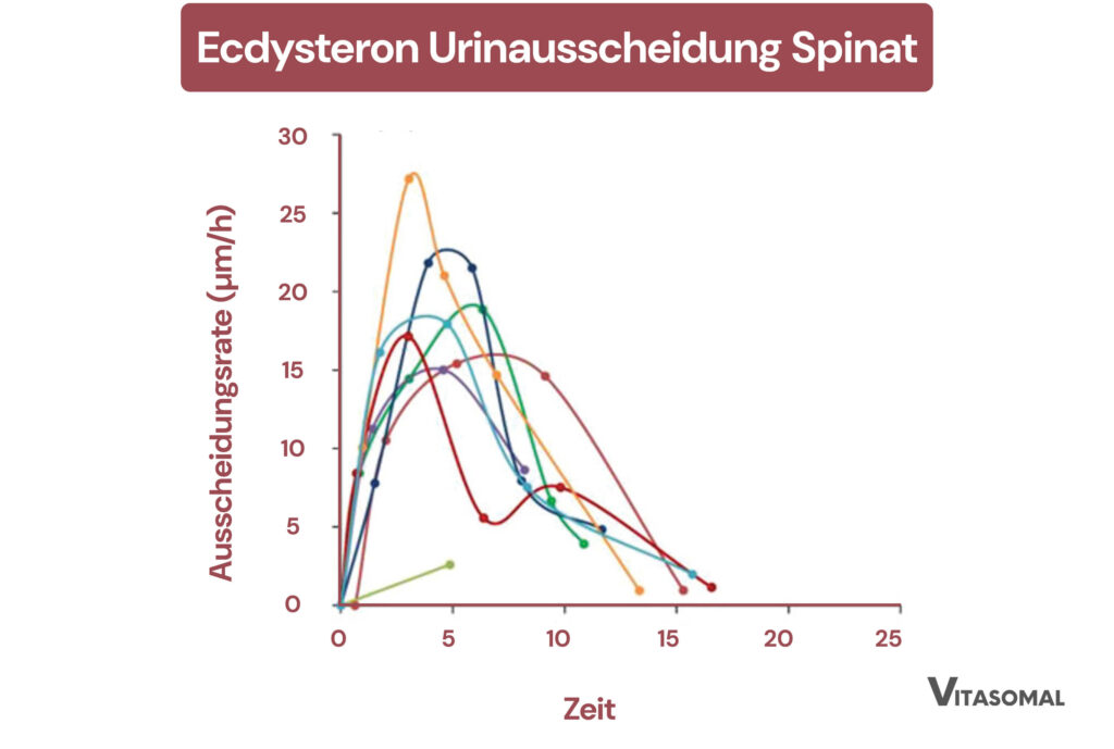 Ecdysteron Spinatextrakt