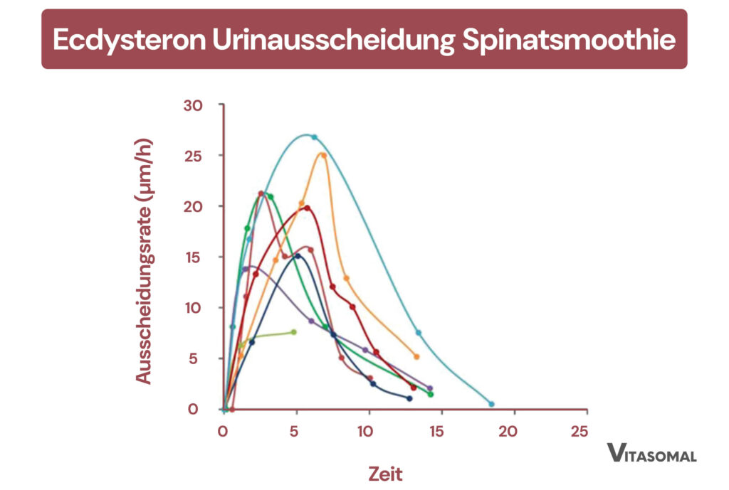 Ecdysteron Spinatsmoothie