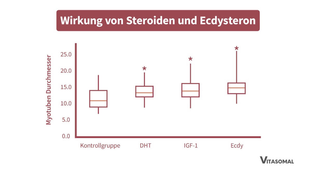 Wirkung von Steroiden und Ecdysteron