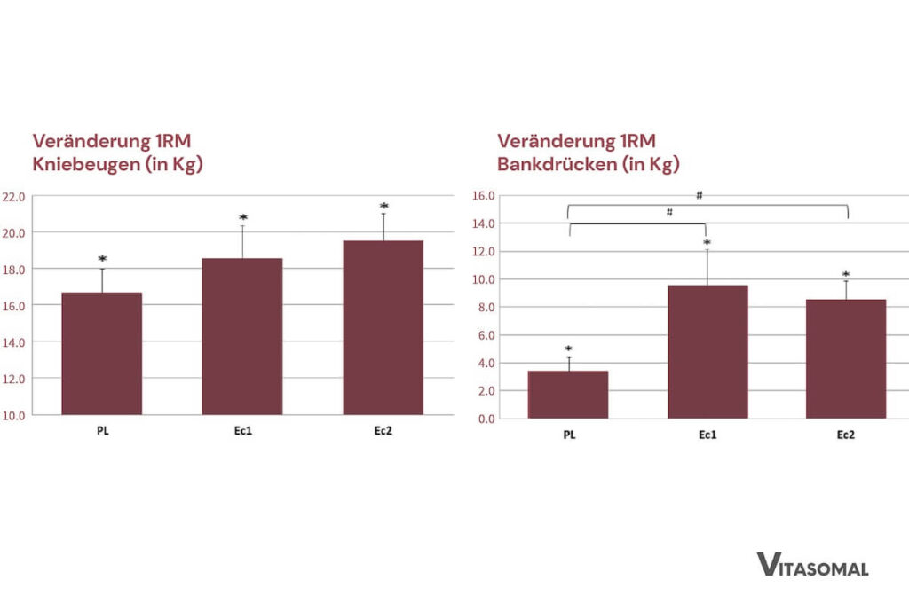 Ecdysteron Wirkung auf Muskeln am Beispiel Kniebeugen