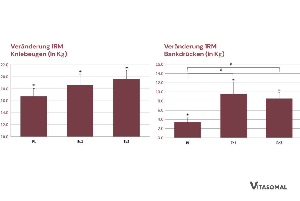 Ecdysteron Wirkung auf Muskeln am Beispiel Kniebeugen