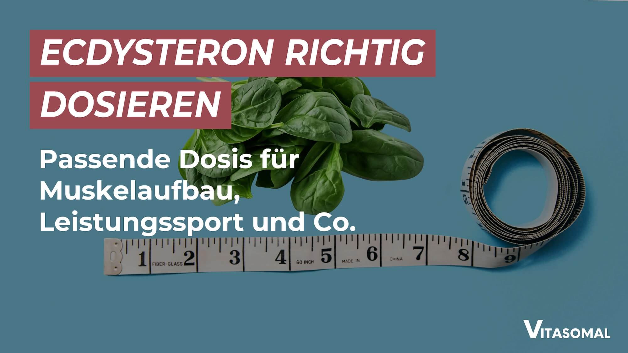 Ecdysteron richtig dosieren