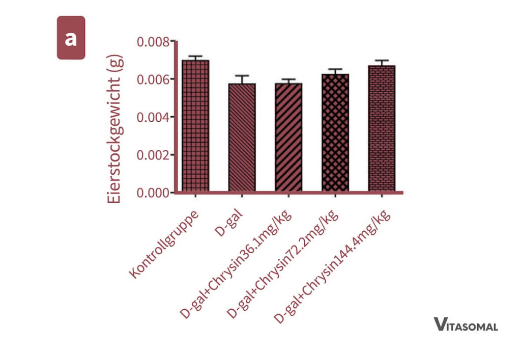 Chrysin Effekt auf Eierstockgewicht