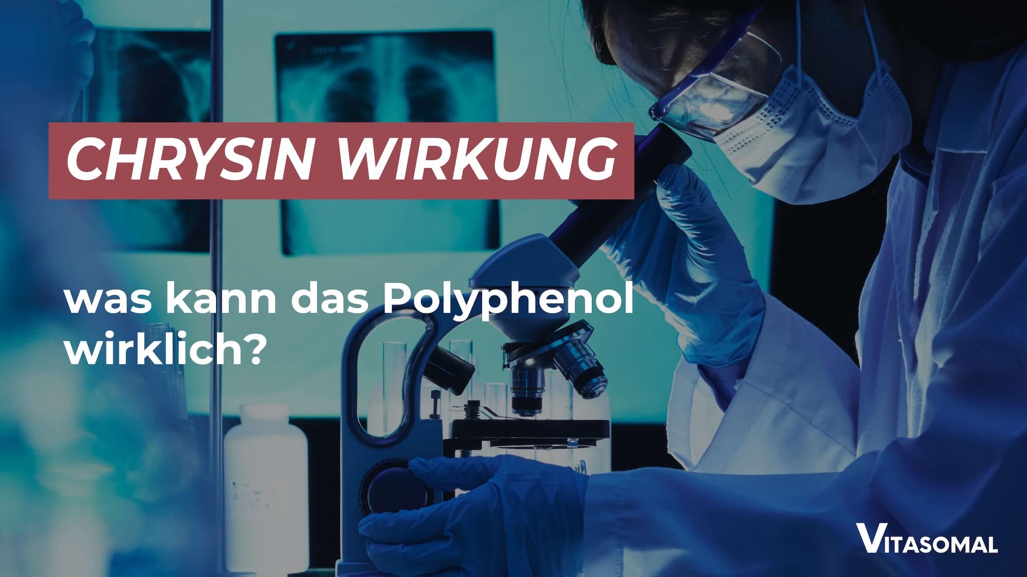 Chrysin Wirkung