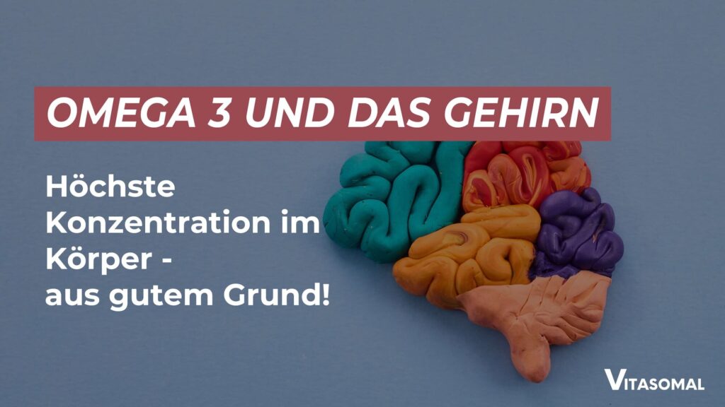 Omega 3 Gehirn
