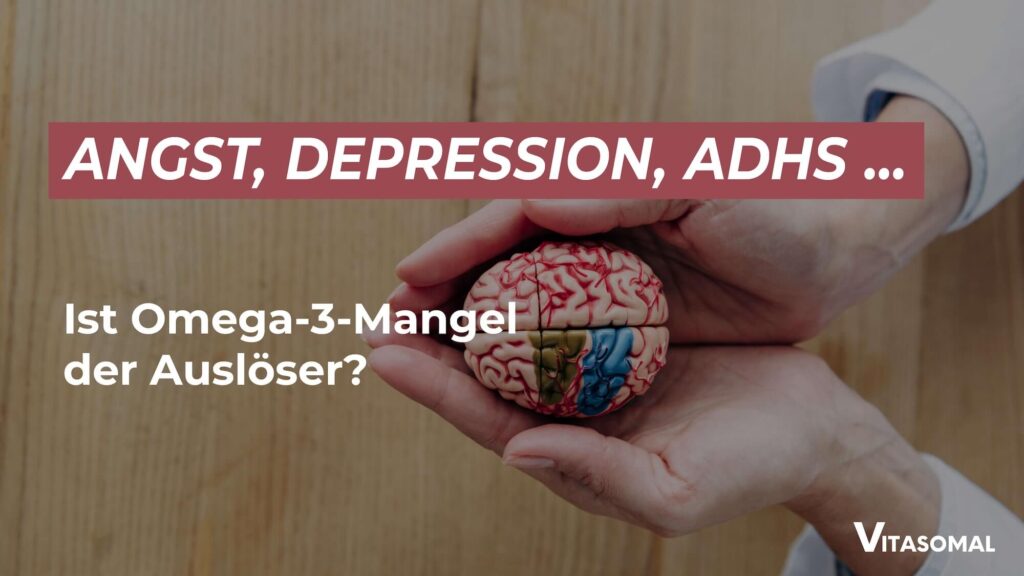 Omega 3 Mangel Depression