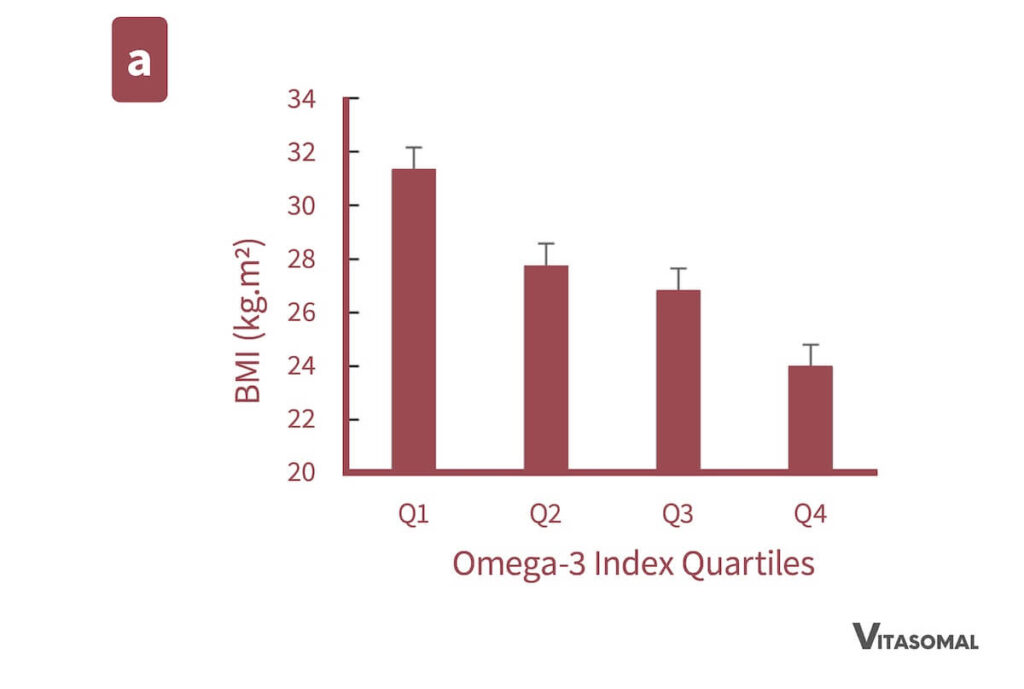 Omega 3 Mangel Übergewicht 1
