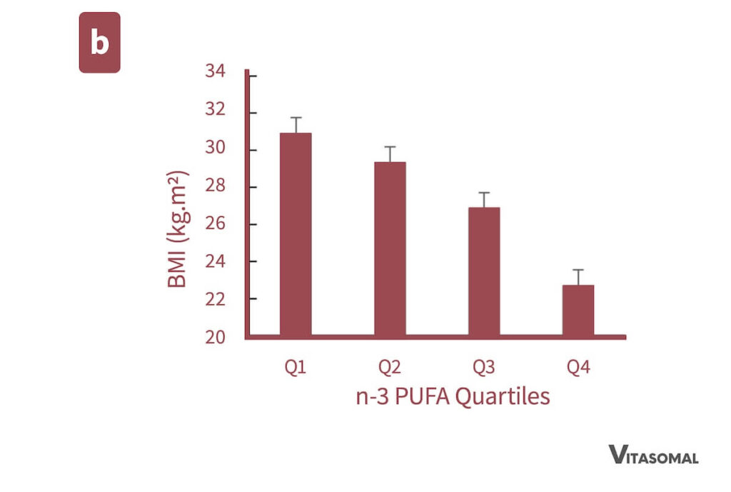 Omega 3 Mangel Übergewicht 2