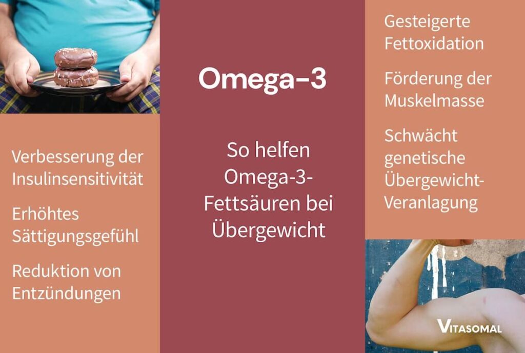 Omega 3 Mangel Übergewicht 3