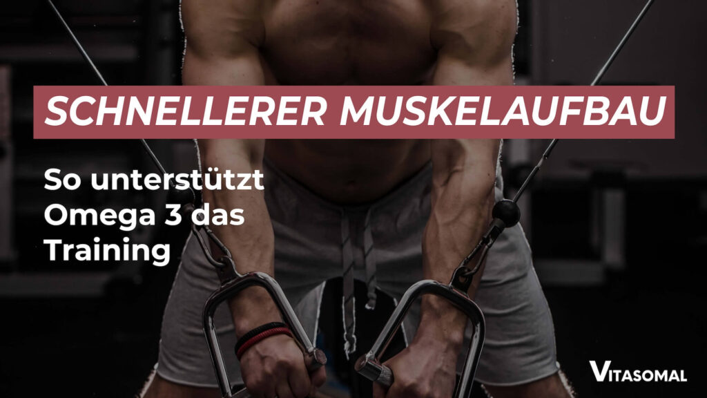 Omega 3 Muskelaufbau