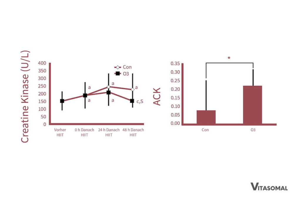 Omega 3 Muskeln Creatine