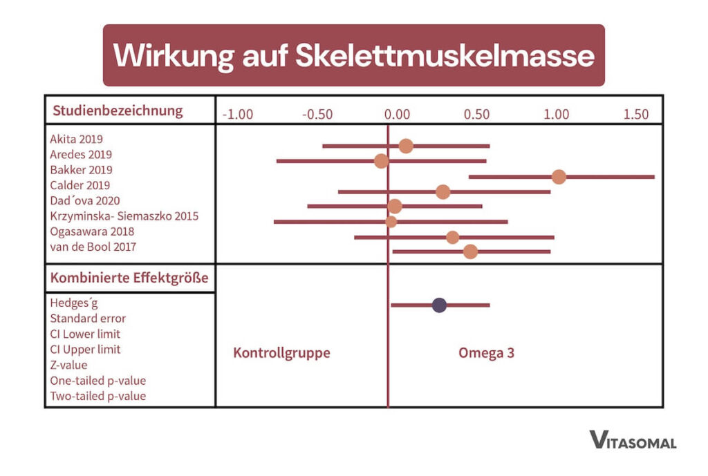 Omega 3 Muskeln - Effekt auf die Muskelmasse