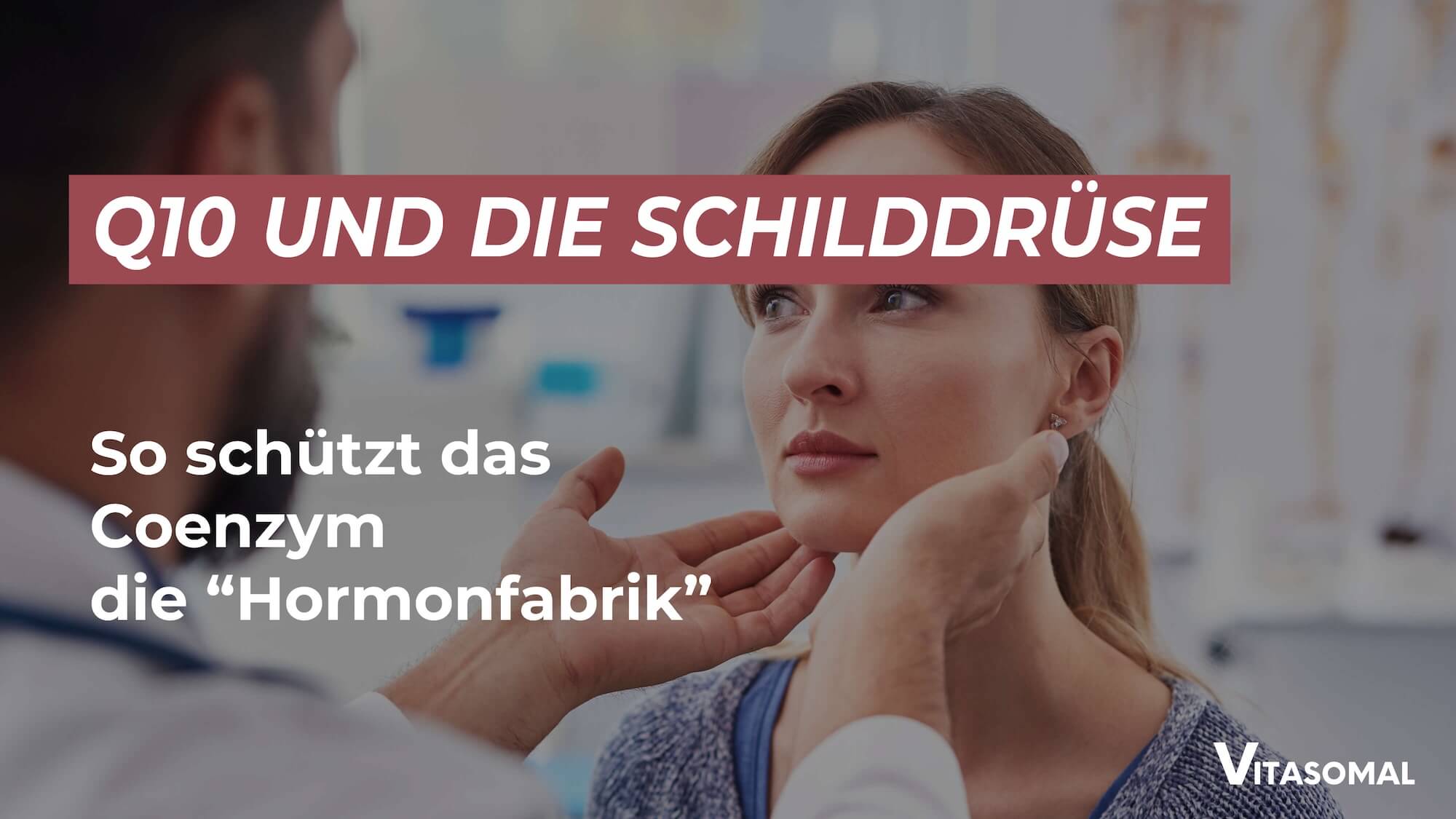 Q10 Wirkung Schilddrüse