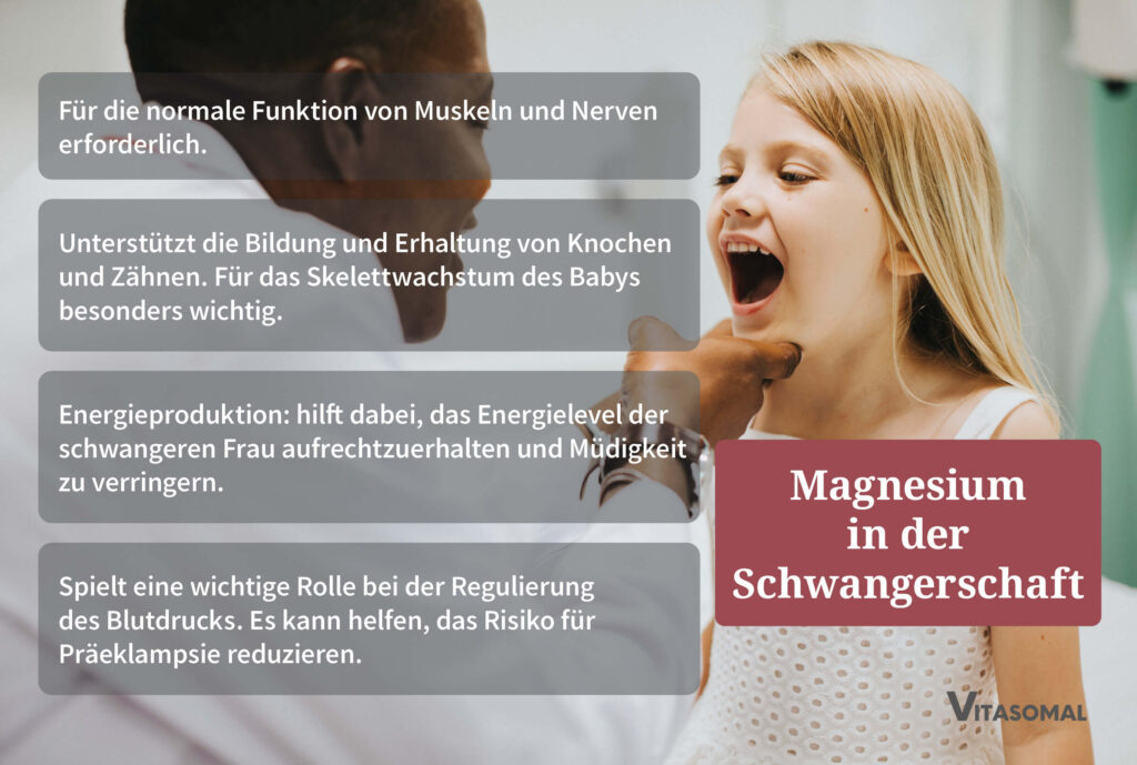 Magnesium in der Schwangerschaft - Funktionen