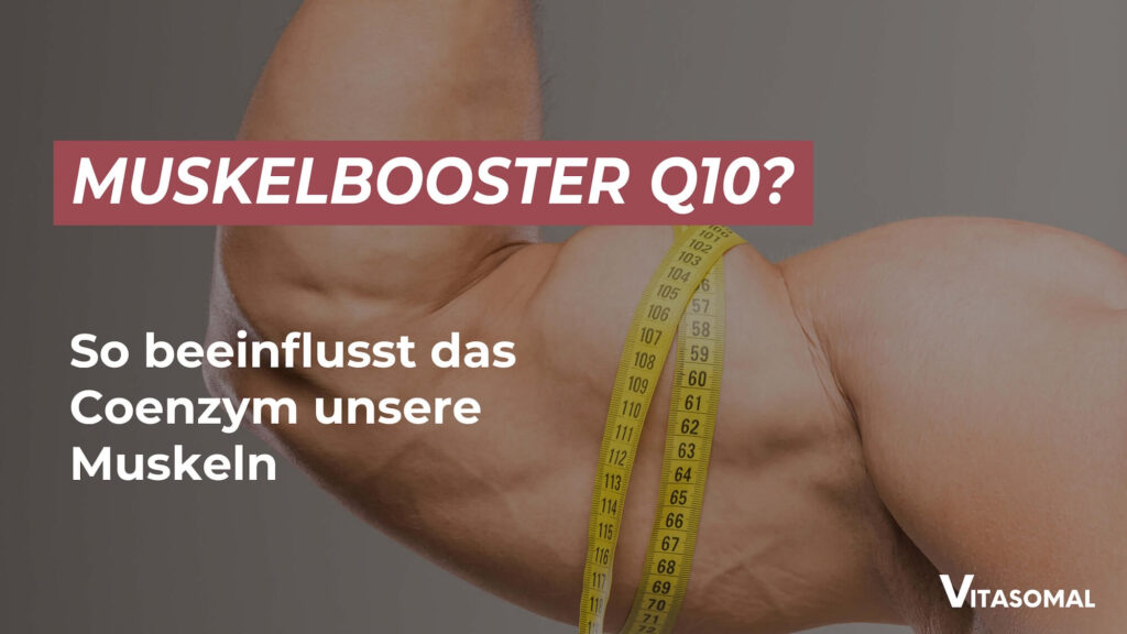 Q10 Muskeln