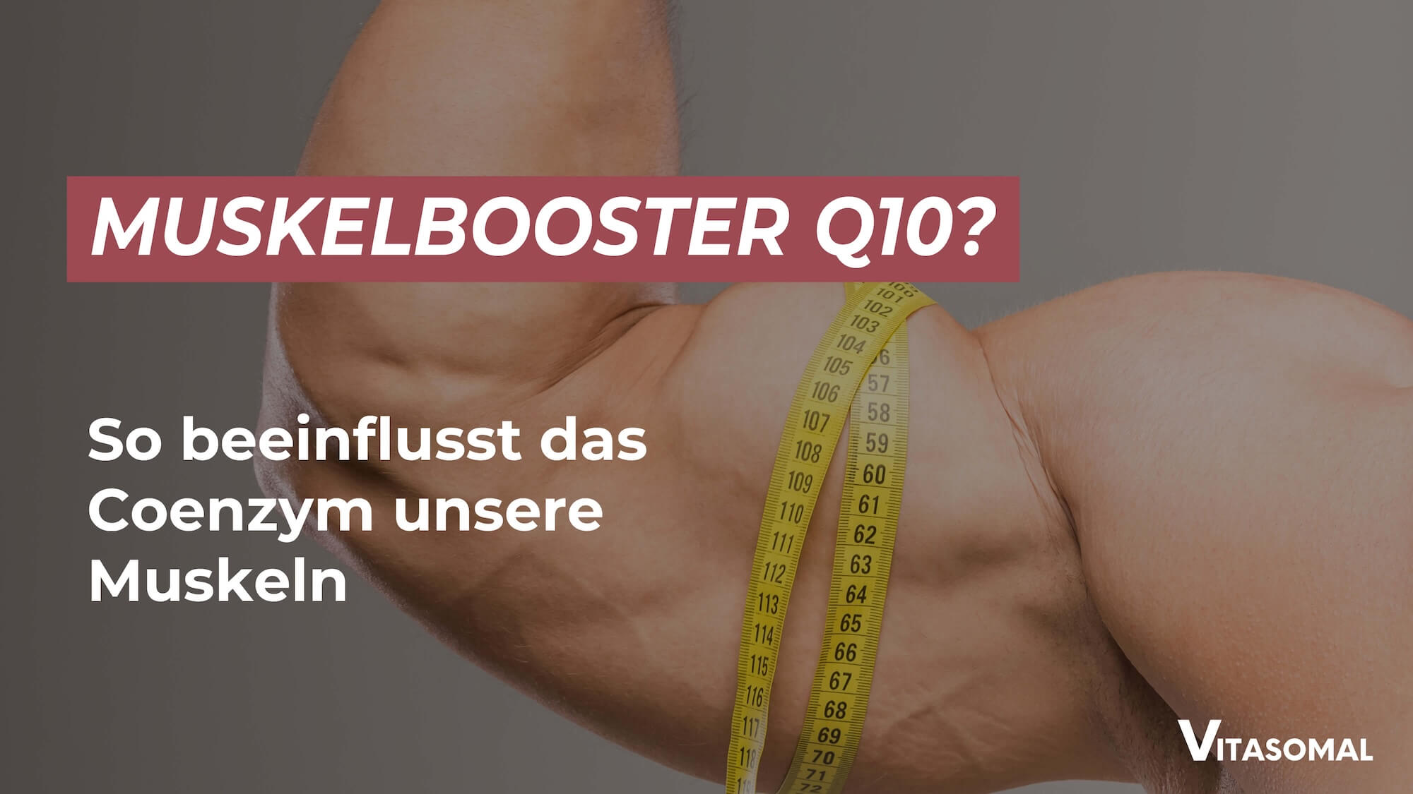 Q10 Muskeln