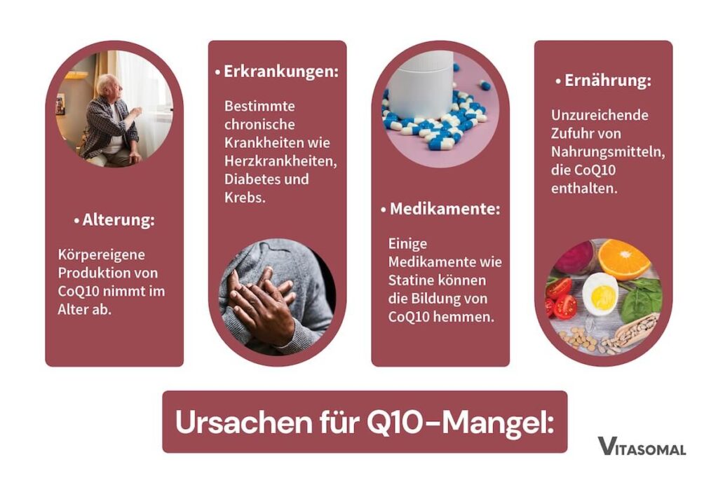 Q10 Wirkung Muskeln - Ursachen für Q10-Mangel