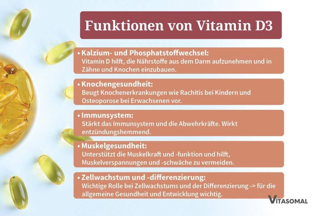 Vitamin D Mangel bei Kindern - Funktionen von Vitamin D
