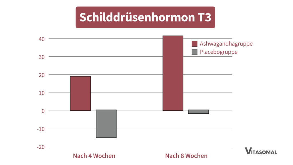 ashwaganda wirkung_veränderung schilddrüsen hormon unter ashwaganda
