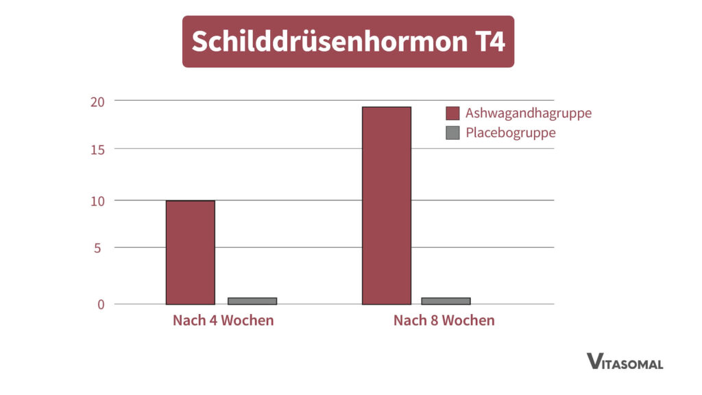 ashwaganda wirkung_veränderung schilddrüsenhormon 2 unter ashwaganda