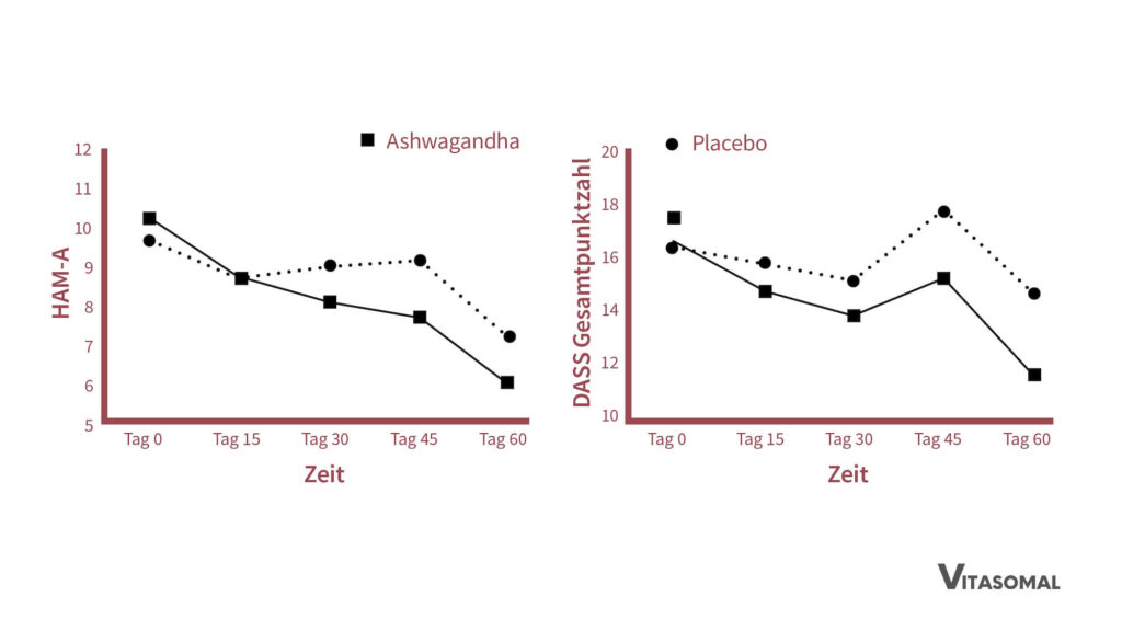 ashwaganda wirkung_veränderung von stress, ansgt und depressionen mit ashwaganda