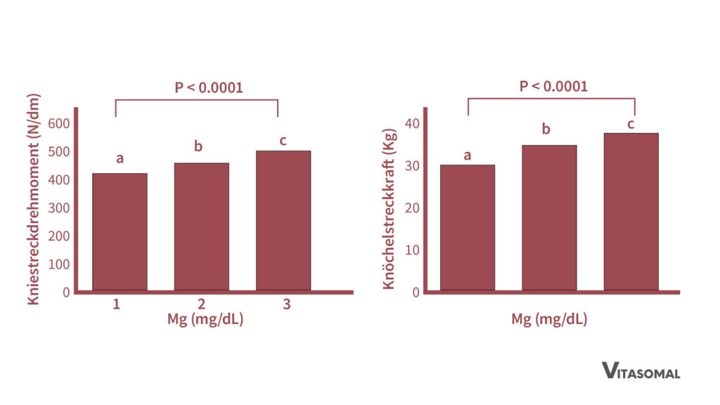 magnesiummangel_magnesiumversorgungsstatus und muskelfunktion im alter