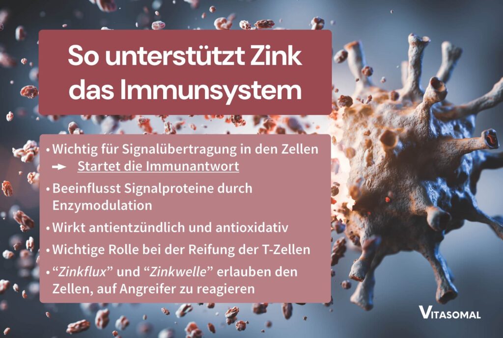 So unterstützt Zink das Immunsystem