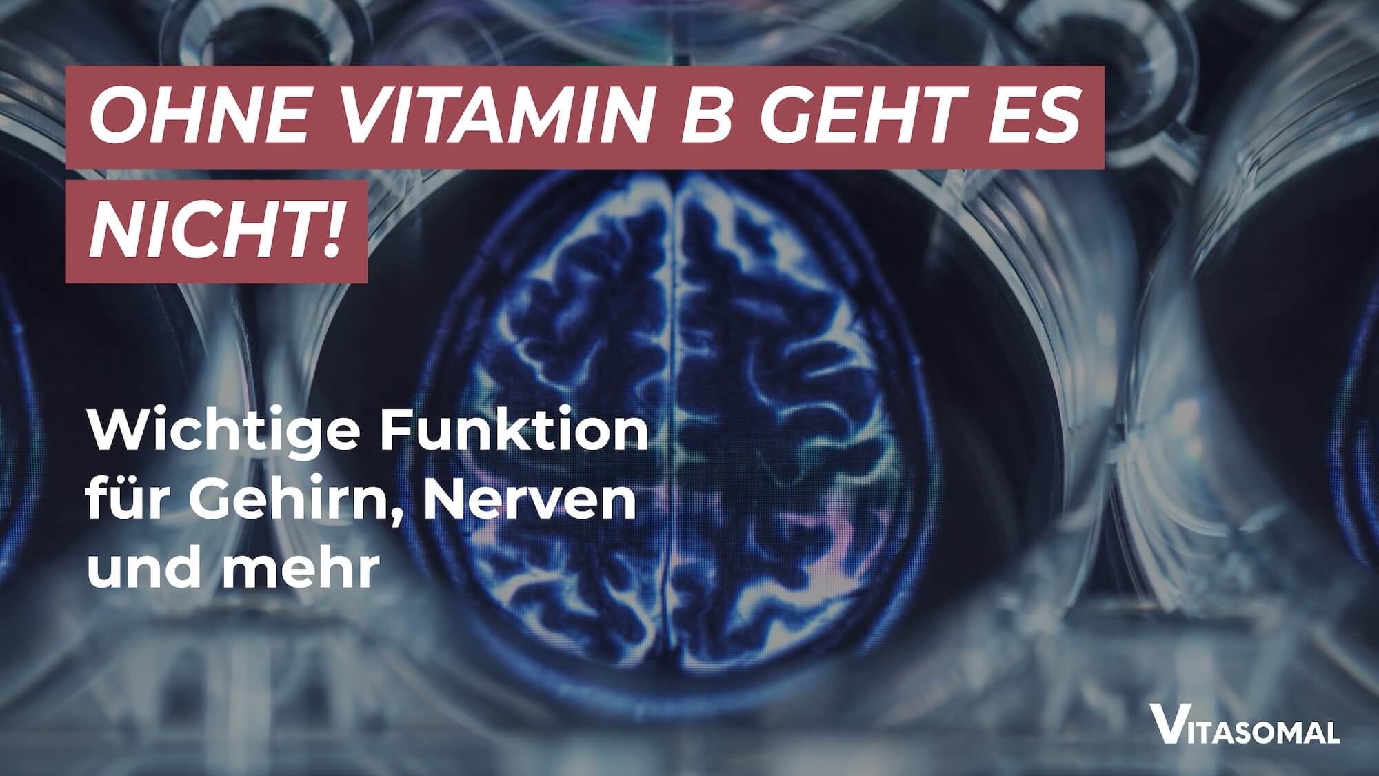 Vitamin B