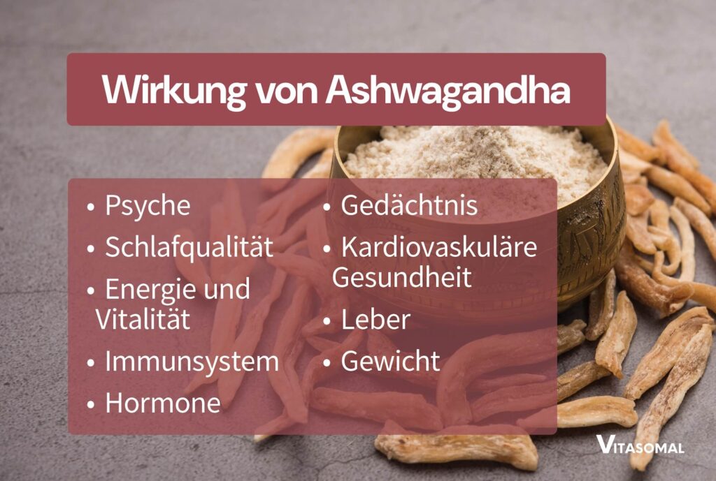 Wirkung von Ashwagandha auf Testosteron