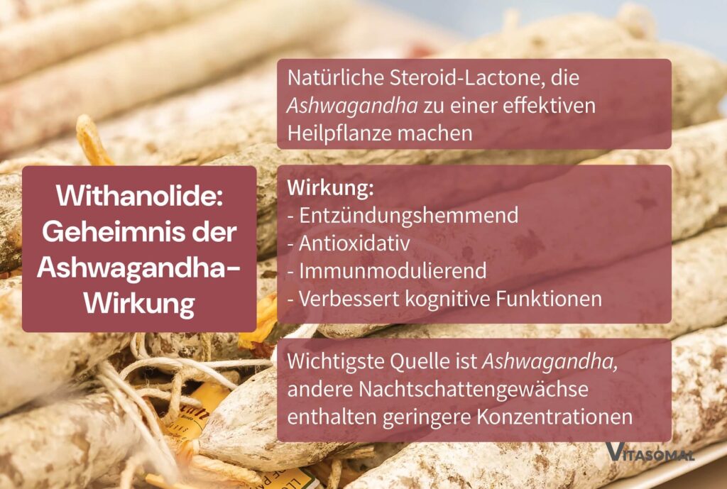 Withanolide Geheimnis der Ashwagandha-Wirkung für Frauen