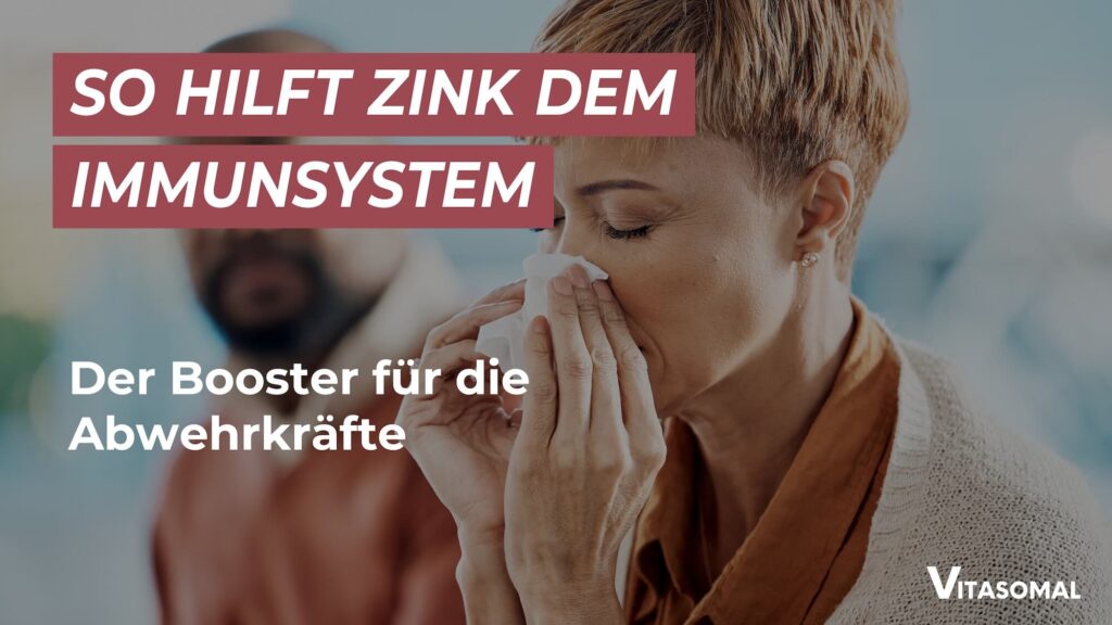 Zink Immunsystem