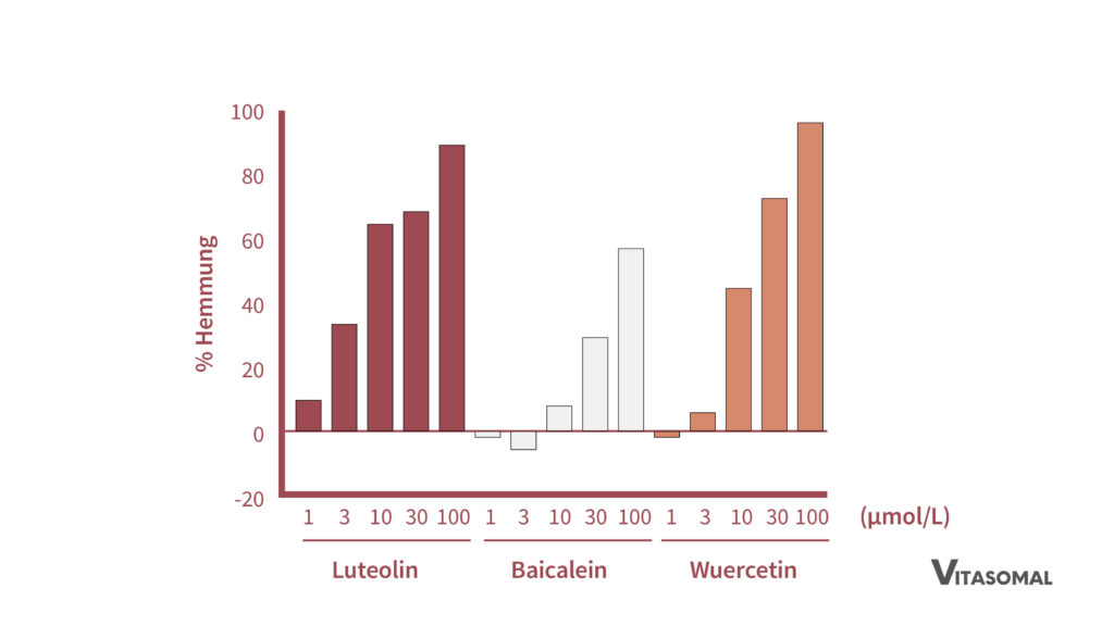 quercetin wirkung_konzentration verschiedener Flavonoide bei Quercetin