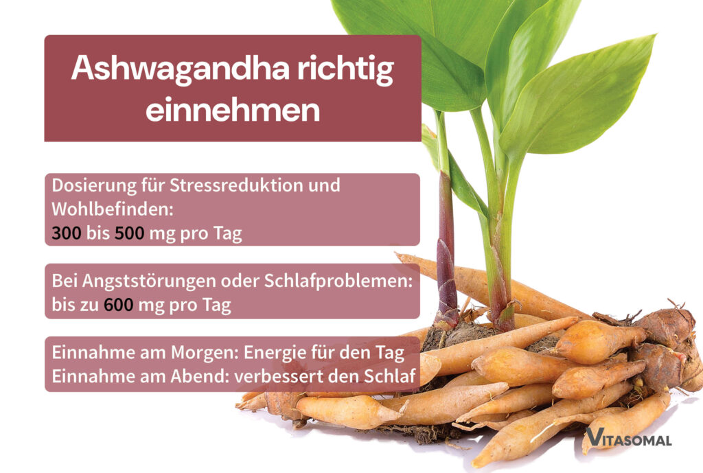 Ashwagandha Gewichtszunahme - richtig einnehmen