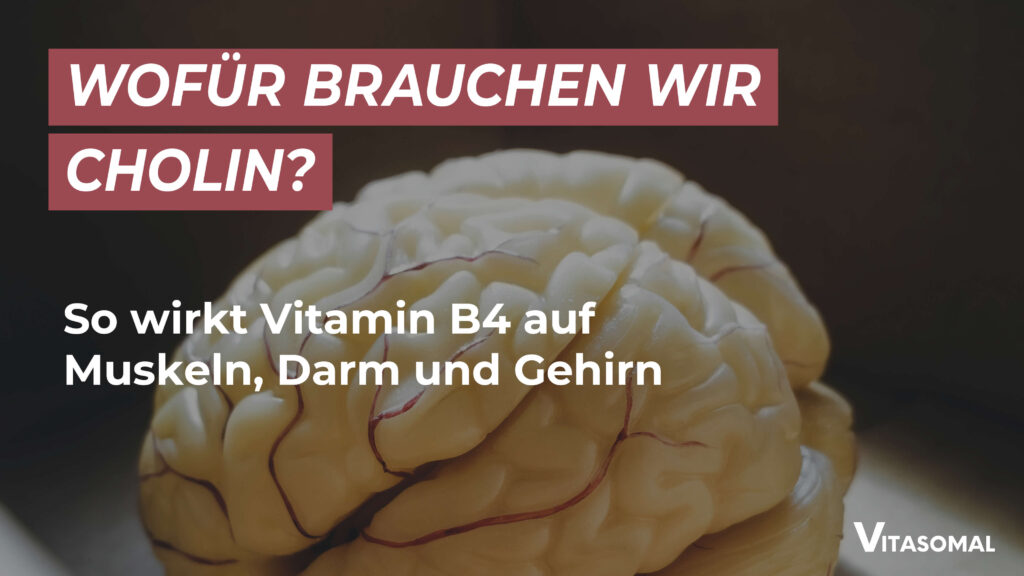Vitamin B4