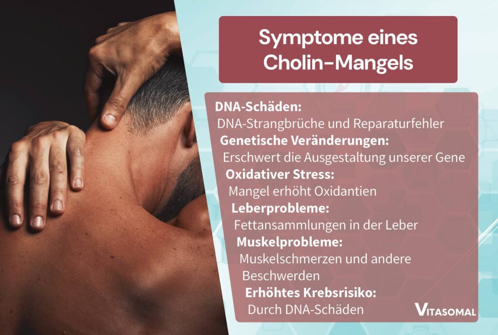 Vitamin B4 Symptome eines Cholin-Mangels