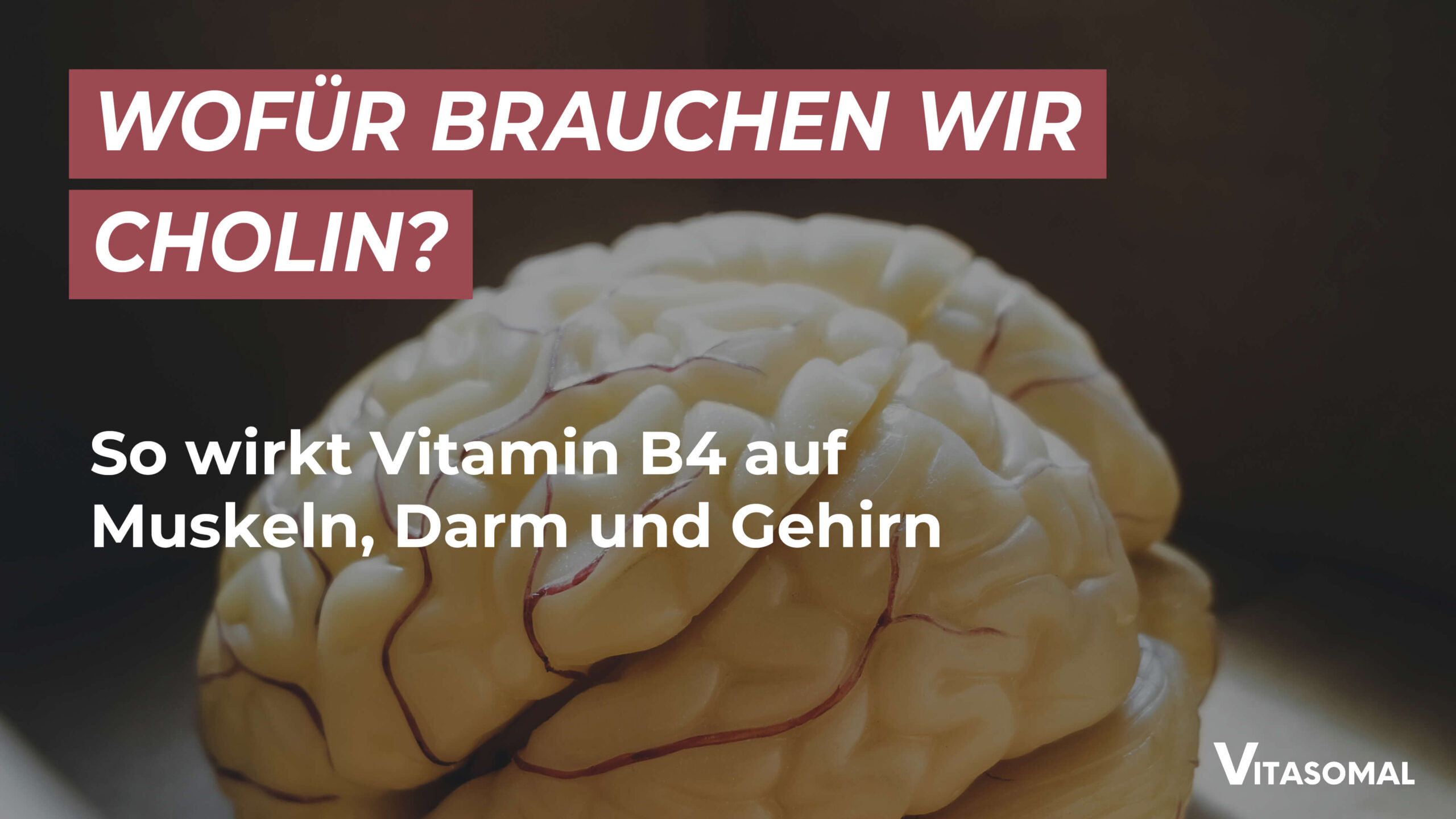 Vitamin B4