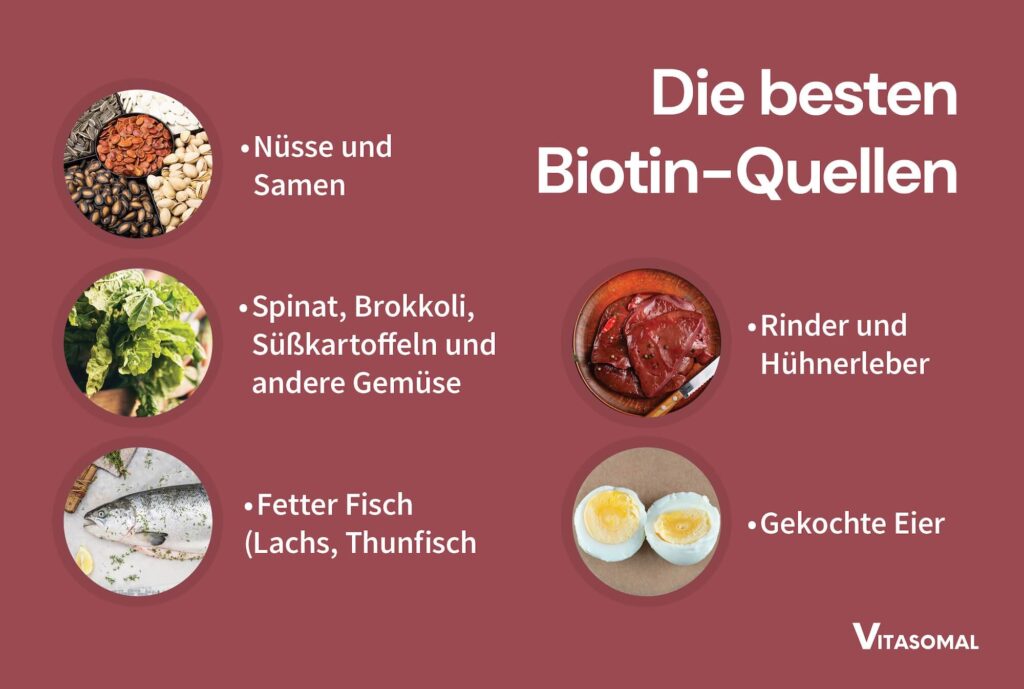 Vitamin B7 - Die besten Biotin-Quellen