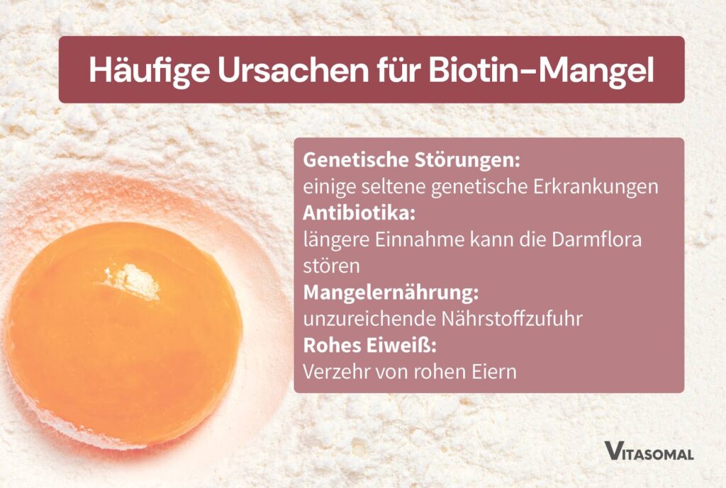 Vitamin B7 Häufige Ursachen für Biotin-Mangel