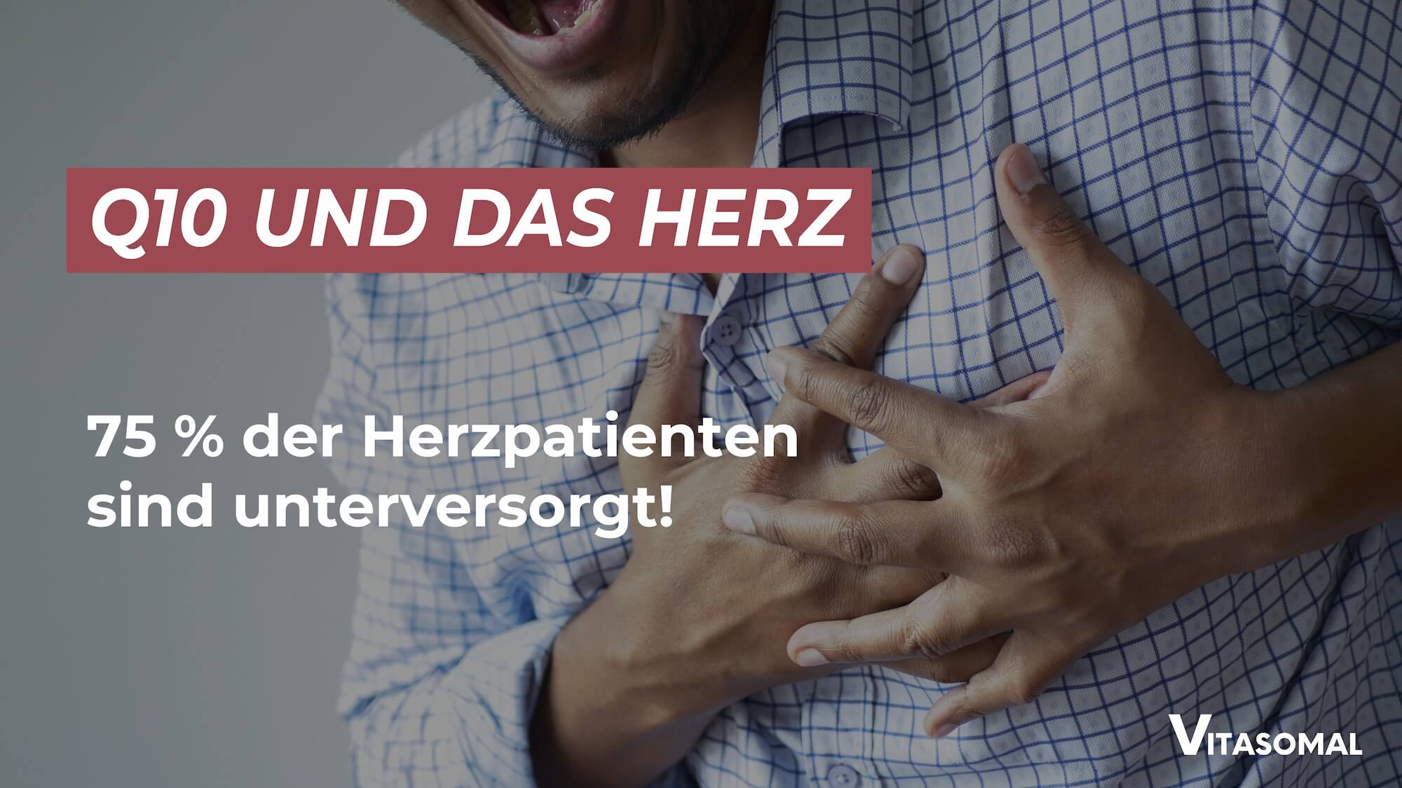 Q10 Herz