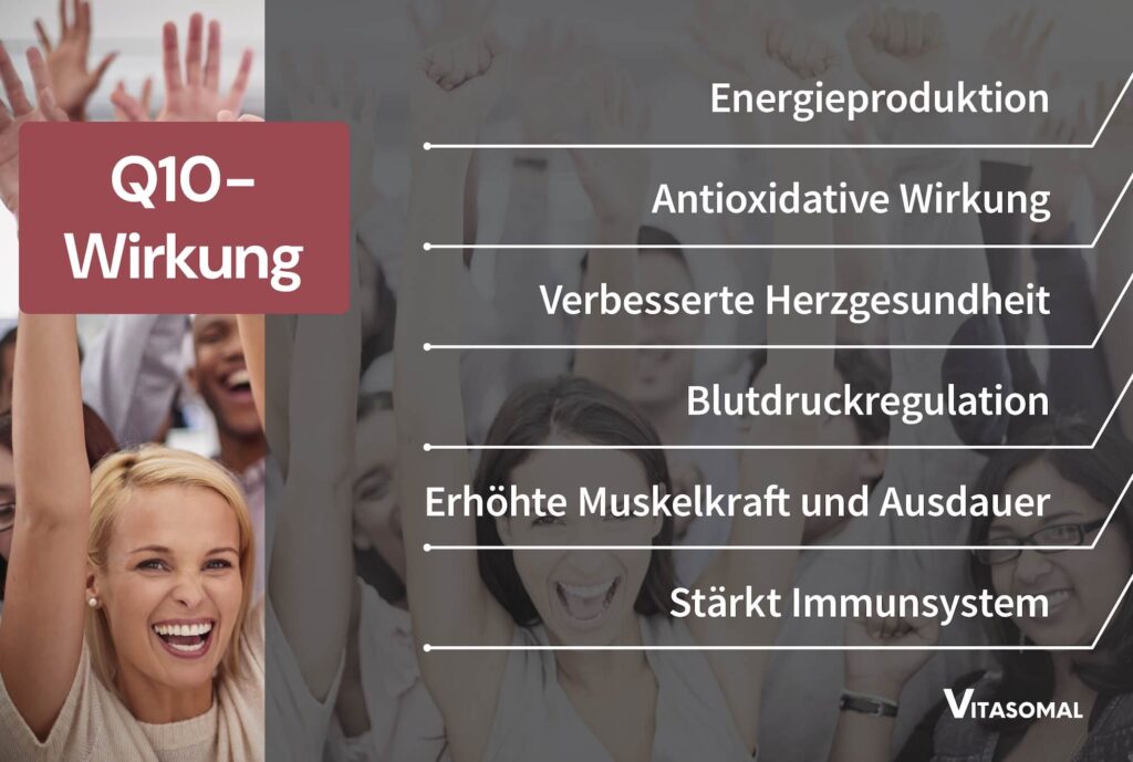 Q10 Herz Wirkung