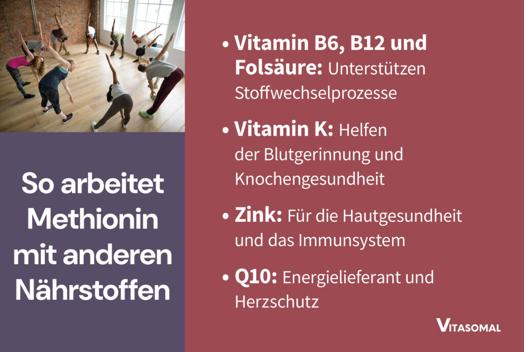 So arbeitet Methionin mit anderen Nährstoffen zusammen