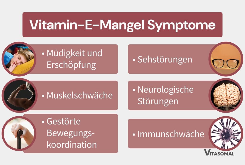 Vitamin-E-Mangel Symptome
