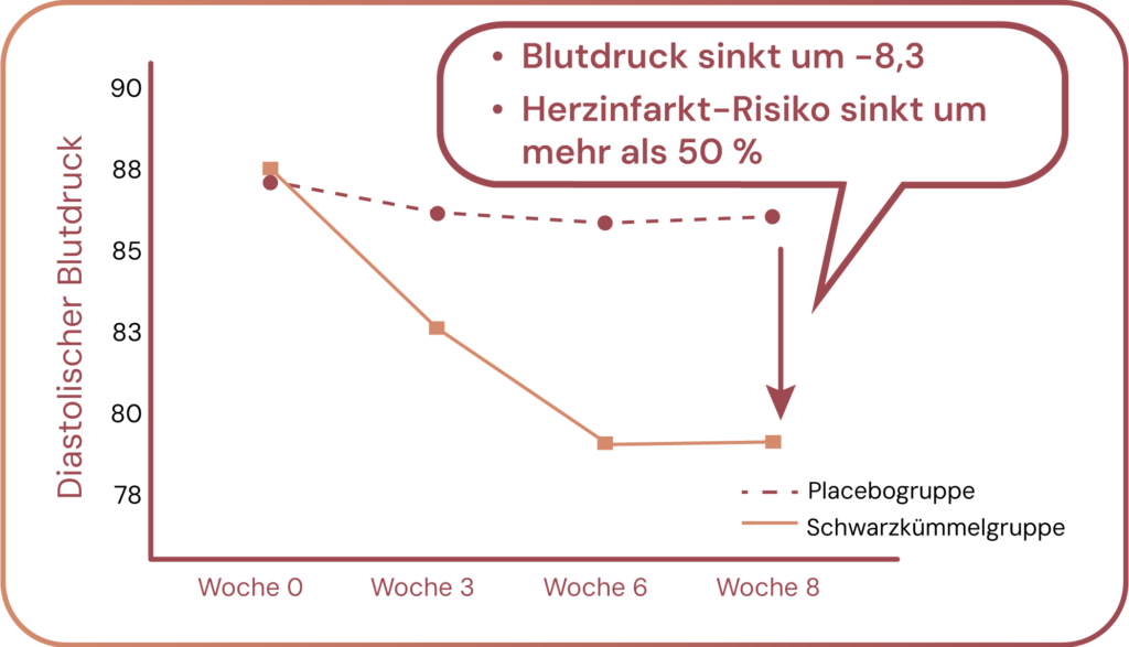 Blutdruck Studienergebnisse Schwarzkümmelöl