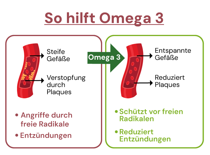 So hilft Omega 3